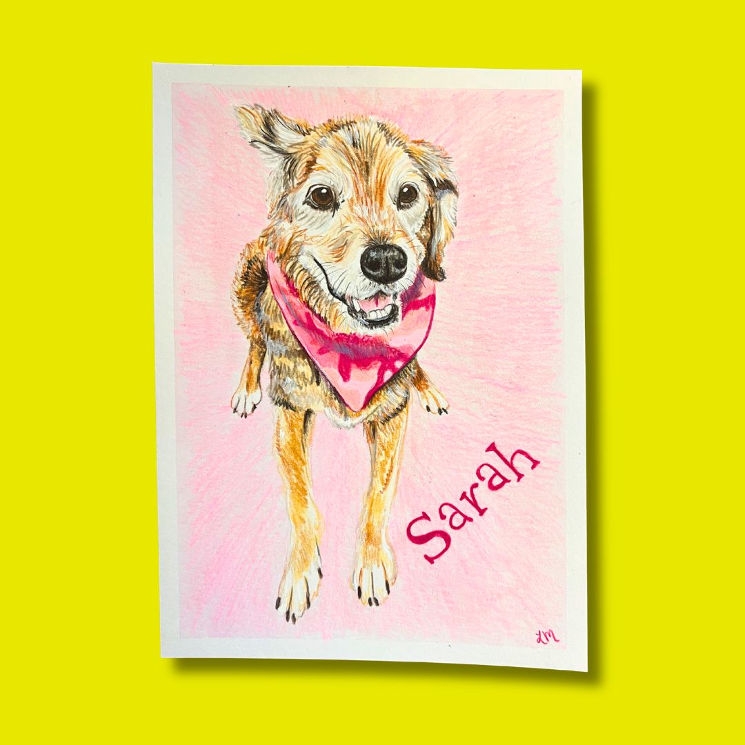 Pet Portrait Commission